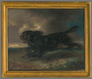 Løpende hund